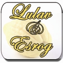 Lulav and Etrog Information
